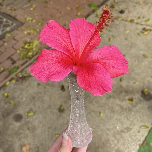 Exquisite hand cut clear crystal Single stem flower vase etched vintage antique
